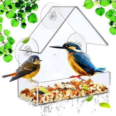 Produktbild von Transparentes Fensterfütterhaus für Vögel - Futterstation für Wildvögel - 15 x 15 x 6 cm