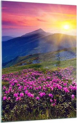Produktbild von Bilder auf glas - Einteilig - Wiese Berge Landschaft - 50x70cm - Glasbilder - Wandbilder - Bilder - zum Aufhängen bereit - Wanddekoration aus Glas - Glas Bilder - Wandbild auf Glas - GPA50x70-2676