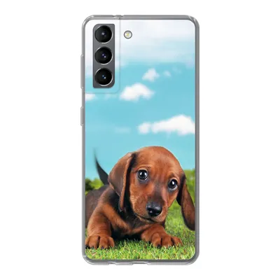 Produktbild von MuchoWow® Handyhülle Schutzhülle Hülle für Samsung Galaxy S21 Schöner Himmel über einem niedlichen Dackelwelpen Silikon Softcase Handy Hülle - Softcase