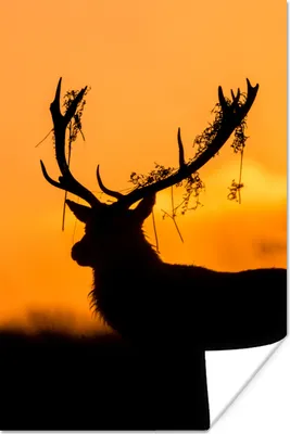 Produktbild von MuchoWow® Poster Hirsch - Orange - Scherenschnitt - Tiere - Natur 60x90 cm - Wanddekoration