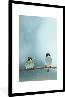 Produktbild von MuchoWow® Gerahmtes Poster Vögel - Spatz - Schnee - Winter 60x90 cm - Poster mit Schwarzem Bilderrahmen Wandposter Rahmen Foto Bilder - Dekoration - Wandposter Wohnzimmer - Hochwertig
