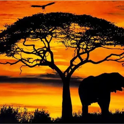 Produktbild von NORIMPEX Diamantov kleiner Elefant bei Sonnenuntergang 30x40cm