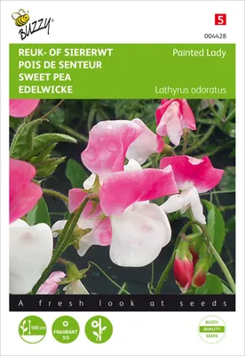 Produktbild von Duftwicke Painted Lady | Wickensamen von Buzzy Seeds