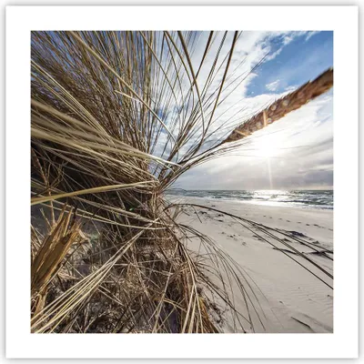 Produktbild von Poster - Poster ohne Rahmen - Küste Perspektive Gras - 50x50 cm - Wand Bild - Wanddeko - Wandbilder - Kunstposter - Wandposter - Bilder - Kunstdruck - Wanddekoration - Wandbild - P2XAC50x50-4526