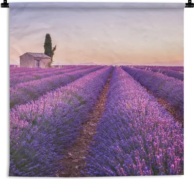 Produktbild von MuchoWow® Wandteppich Wandbehang Lavendel - Sonnenuntergang - Lila - Blumen 120x120 cm Tapisserie Dekoration Wandtuch - Modern - Baumwollgewebe