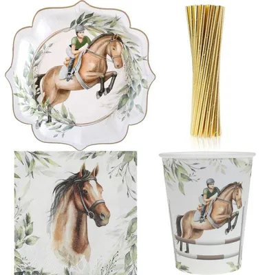 Produktbild von Partyset Pferde Kindergeburtstag Party Deko Set Springreiten Pony Teller Becher Servietten