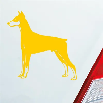 Produktbild von Auto Aufkleber Dobermann Hund Dog Animal Tier 10x10 cm Gelb Sticker Heckscheibenaufkleber
