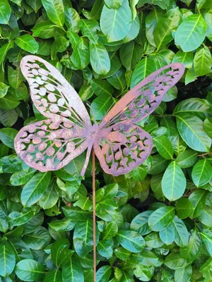 Produktbild von Edelrost Schmetterling Mona, am Wackelstab