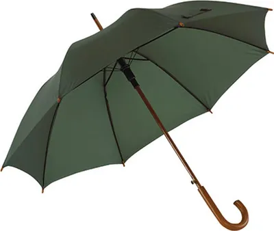 Image de L-merch Parapluie automatique en bois Boogie