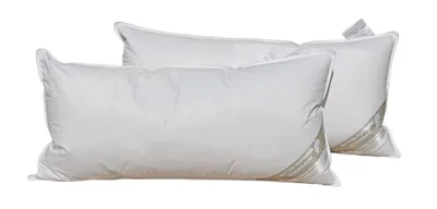 Produktbild von 2 Stück Betten Hofmann Pusta Kopfkissen Federkissen Nackenkissen  40x80 30% Daunen 600 g prall dick