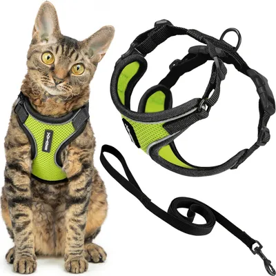 Ausbruchssicheres Katzengeschirr mit Leine, reflektierend, 1,5 m