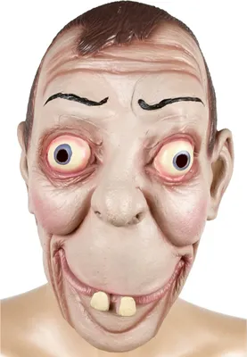 Produktbild von Karneval Gag-Maske (Looser / Trottel)