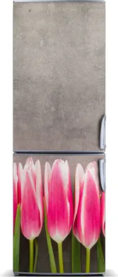 Produktbild von Tulup Kühlschrankdekoration - Magnetmatte - 70 cm x 190 cm - Magnet auf dem Kühlschrank - Rosa Tulpen