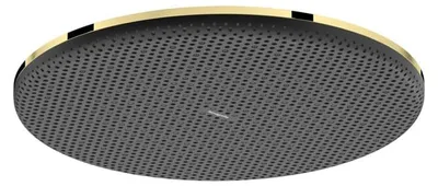 Image de hansgrohe Raindance Alive S Douche de tête 300 1jet, 24520990