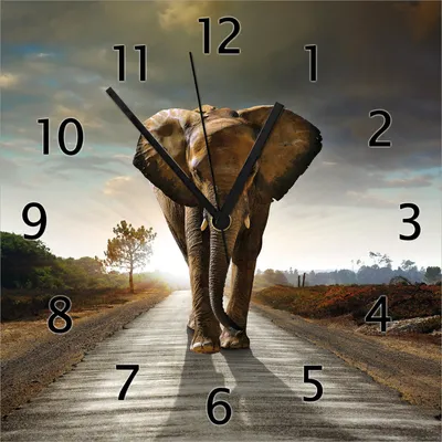 Produktbild von Wallario Design Wanduhr Elefant bei Sonnenaufgang in Afrika aus Echtglas, Größe 30 x 30 cm