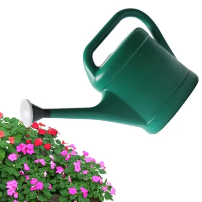 Image de Arrosoir pour plantes avec système d'arrosage par aspersion