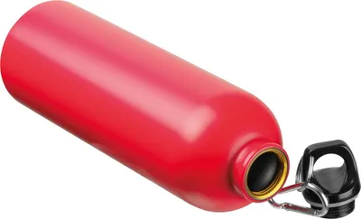 Produktbild von Edelstahl Trinkflasche / mit Karabiner / 750ml / Farbe rot