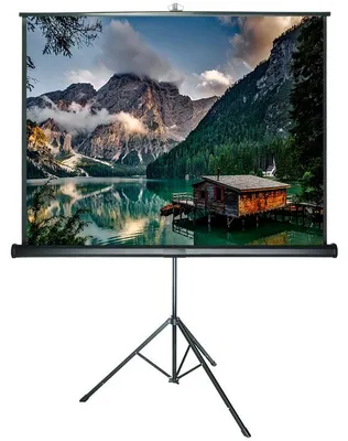Produktbild von DELUXX Advanced Stativleinwand 1:1 Mattweiss Polaro 203 x 203 cm