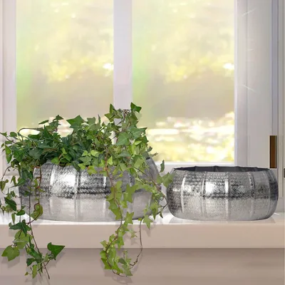 Produktbild von FineBuy Pflanzgefäß 2er Set Metall Silber Pflanzkübel Design Pflanzenkübel Aluminium Rund Indoor Blumenkübel Pflanzschale 2-teilig Punziert