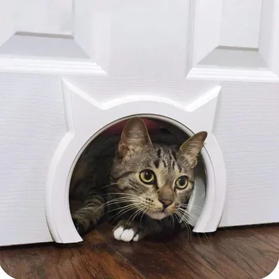 Produktbild von Binnendeur für Katzen - sichere haustierfreundliche Türverriegelung - Zugang für Katzen bis 95 kg