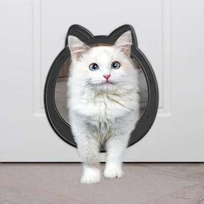 Immagine prodotto di Porta per gatti di grandi dimensioni per interni - Facile da installare, robusta porta per animali domestici adatta a gatti fino a 10 kg, nera