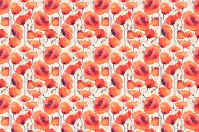 Zdjęcie produktu dla Fototapeta Dekoracja akwarelowa polne czerwone kwiaty Dzika przyroda efekt 3D 405x270cm