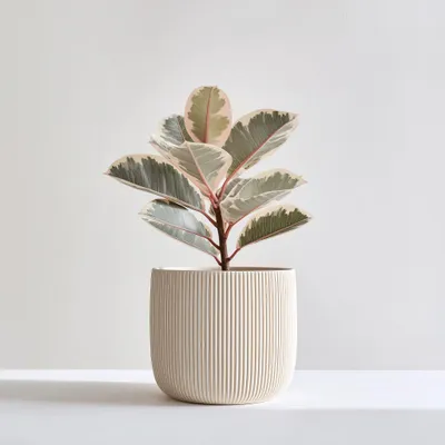 3D-gedruckter Pflanztopf im japanischen Stil – Decords, Produktansicht 1