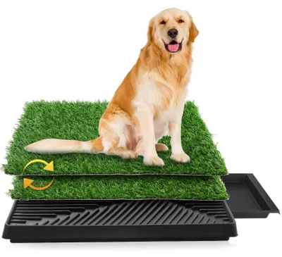 Productafbeelding van Hondenwc, puppywc, trainingsmat van 63 x 50 cm, geschikt voor kleine honden