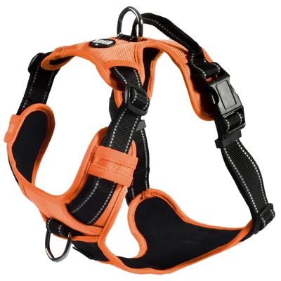 Image de Bobby Rando Walk – Harnais pour chien, harnais pour chiens de petite, moyenne et grande taille