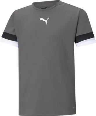 Produktbild von Puma Teamrise Trikot Kurzarm Kinder - Grau
