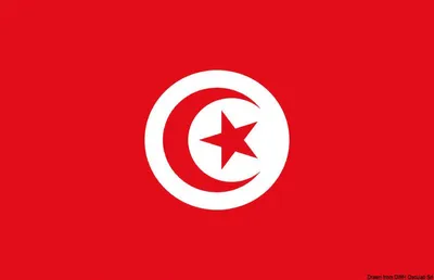 Zdjęcie produktu dla Flaga Tunisia 40 x 60 cm Osculati 35.438.03