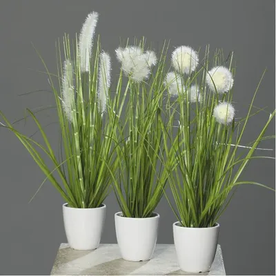 Produktbild von 3er Set künstliche Gräser im Topf H. 36cm D. 7cm grün creme DPI Kunstblumen