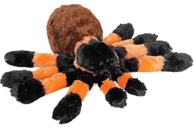 Immagine prodotto di Wild Republic - Peluche - Cuddlekins - Tarantola