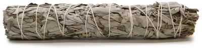 Produktbild von Salbei-Bündel, weißer Salbei, 22,5 cm
