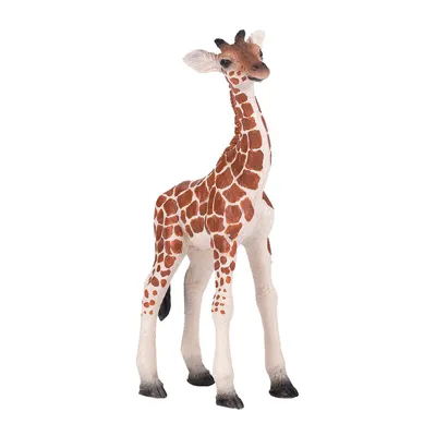 Obrázok produktu pre Mojo Fun Giraffe Calf, 3 rok / roky, Wildlife, Hnedá, Žltá, Polyvinylchlorid (PVC)