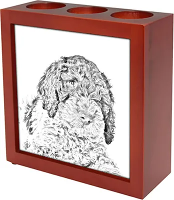 Productafbeelding van Art-Dog Pennenhouder – Lagotto Romagnolo