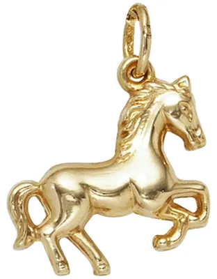 Produktbild von Anhänger Halsschmuck Pferd aus 333 Gold Gelbgold Kettenanhänger