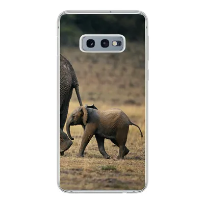 Produktbild von MuchoWow® Handyhülle Schutzhülle Hülle für Samsung Galaxy S10e Elefant - Tiere - Savanne - Natur Silikon Softcase Handy Hülle - Handy