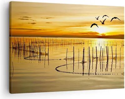 Produktbild von Bild auf Leinwand - Leinwandbild - See Vogel Wasser - 70x50cm - Wand Bild - Wanddeko - Wandbilder - Leinwanddruck - Bilder - Kunstdruck - Wanddekoration - Leinwand bilder - Wandkunst - AA70x50-3616