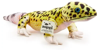 Immagine prodotto di Zappi Co, peluche morbido e coccoloso per bambini, perfetto come compagno di gioco, con motivo stampato (65 cm di lunghezza), modello "gecko leopardo"