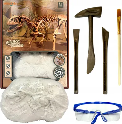Obrázek produktu pro Lolex | Archeologická sada pro děti - kostra dinosaura - nářadí pro děti - 27,5 X 21 X 6 cm
