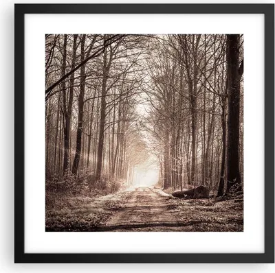 Produktbild von Gerahmtes Poster - Schwarzer Rahmen - Wald Straße Baum - 40x40 cm - Wand Bild - Wanddeko - Wandbilder - Kunstposter - Wandposter - Bilderrahmen - Bilder - Kunstdruck - Wandbild - P2BAC40x40-3620