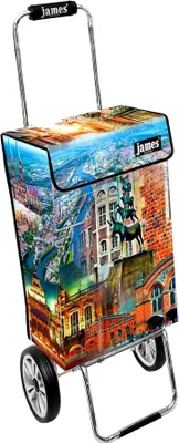 Obrázek produktu pro Nákupní vozík James - BREMEN - robustní nákupní vozík s individuálním designem - vícebarevný: zelený | hnědý v provedení: Chrome19