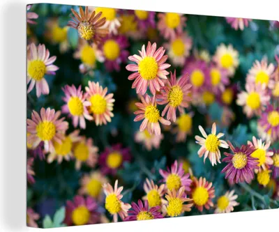 Produktbild von OneMillionCanvasses® - Leinwandbilder - 140x90 cm, Blumen - Herbst - Lila, Wandbilder Kunstdruck Wanddekoration