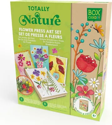 Produktbild von Box Candiy Blumenpresse Lernspielzeug mehrfarbig Kunststoff