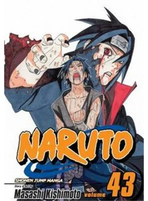 Productafbeelding van Naruto, Vol. 43