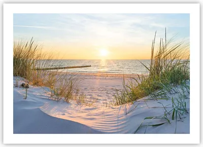 Produktbild von Poster - Poster ohne Rahmen - Düne Strand Meer - 70x50 cm - Wand Bild - Wanddeko - Wandbilder - Kunstposter - Wandposter - Bilder - Kunstdruck - Wanddekoration - Wandbild - P2XAA70x50-3989