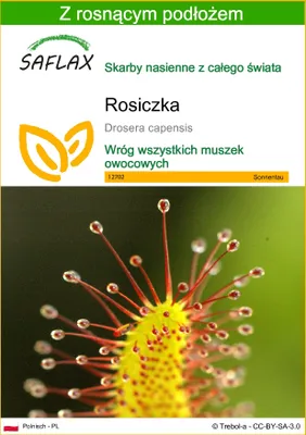Zdjęcie produktu dla SAFLAX - Rosiczka - 200 Nasiona - Z podłożem uprawowym wolnym od zarazków - Drosera capensis