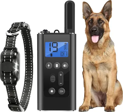 Produktbild von Hundehalsbänder,Stabiles und einfach zu bedienendes Hundehalsband,Robust und langlebig gutes Halsband für Hunde zugeschnitten,Geeignet für alle Hundetypen. (a3)