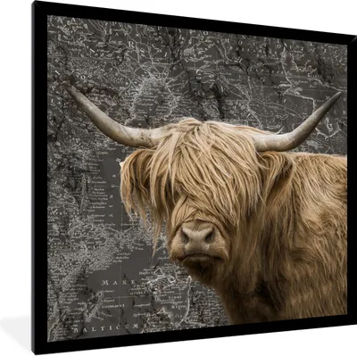 Produktbild von MuchoWow® Gerahmtes Poster Schottische Highlander - Weltkarte - Tiere 40x40 cm - Poster mit Schwarzem Bilderrahmen Wandposter Rahmen Foto Bilder - Mit Rahmen - Wanddekoration Schlafzimmer